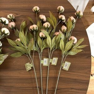 Ashland Tan Peony Stems 4 Count